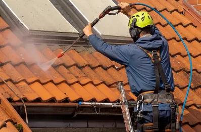 Démoussage et hydrofuge de toiture à Bizonnes